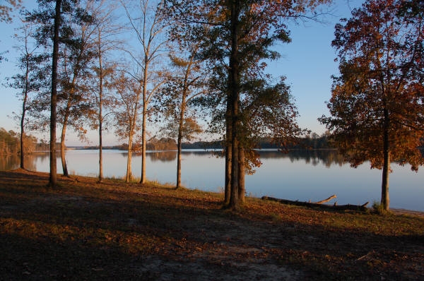 Lakepoint Resort State Park, Eufaula, AL - GPS, Campsites, Rates Lakepoint Resort State Park, Eufaula, AL - GPS, Campsites, Rates